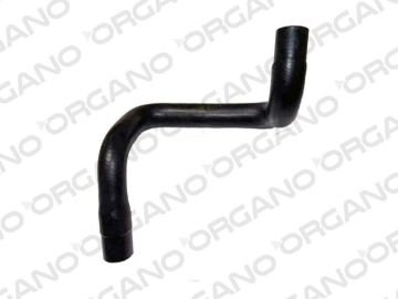 ÜÇPA RADYATÖR ALT HORTUMU 1.6 ZETEC S FOCUS 98> UCP 98AB 8B273 AG 13H11380